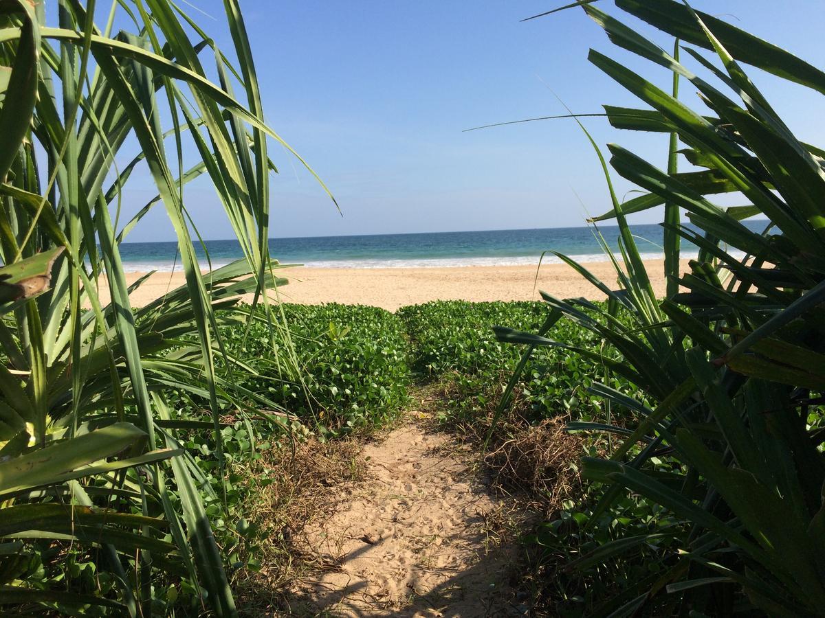 Talalla Bay Beach Екстериор снимка